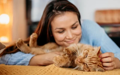 El estrés en gatos