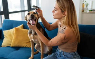 El cuidado de la piel y el pelo en nuestras mascotas
