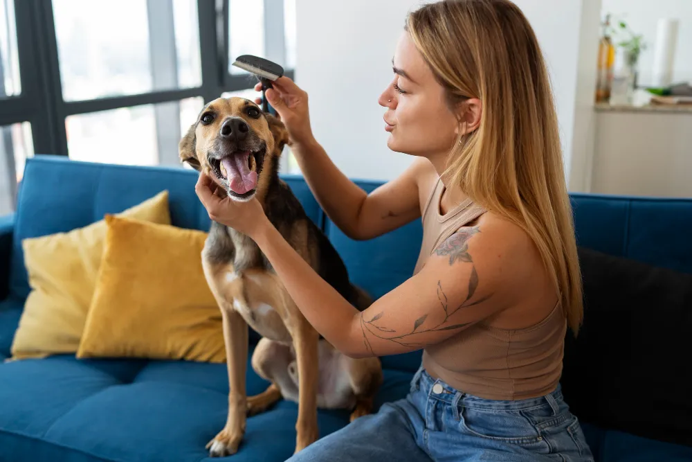 Clínica Veterinaria Nuevo Artica blog El cuidado de la piel y el pelo en nuestras mascotas