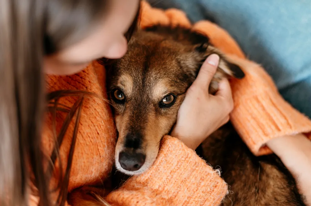 Clínica Veterinaria Nuevo Artica blog Los parásitos