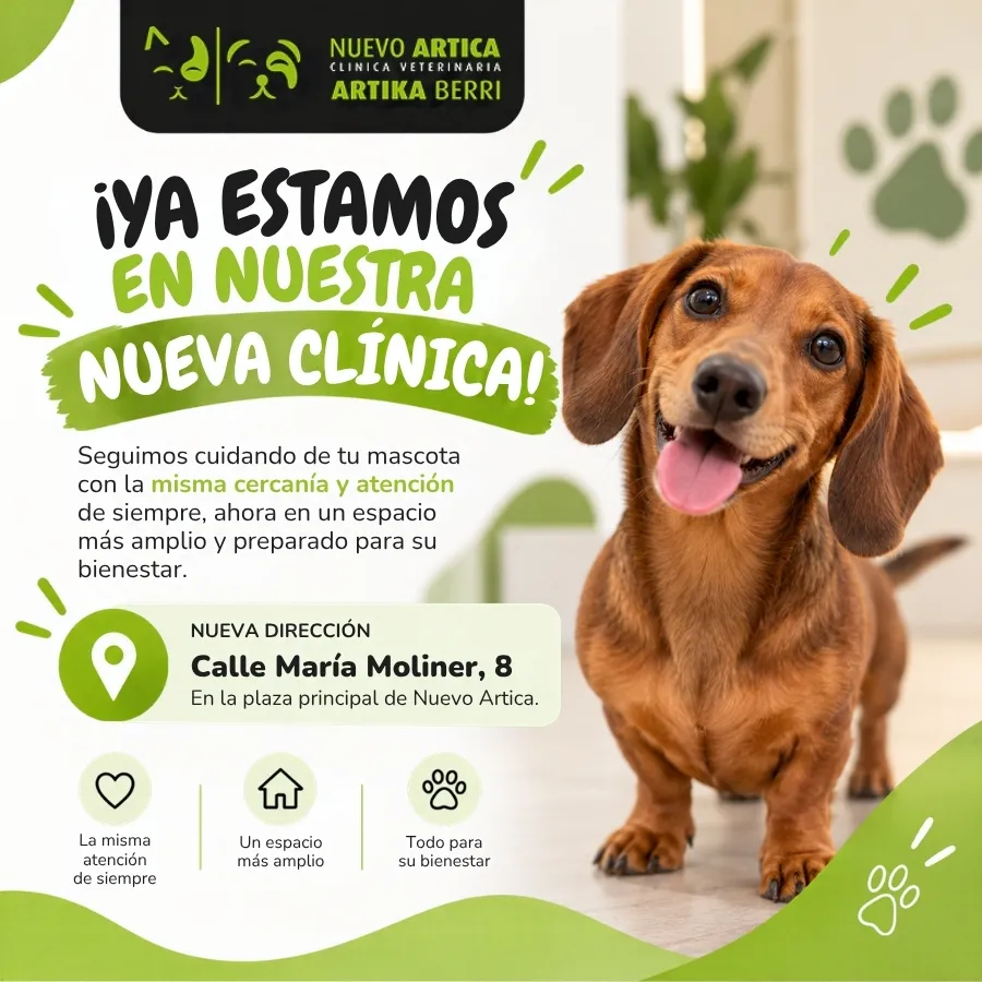 Pop up veterinaria artica ya estamos en la nueva direccion