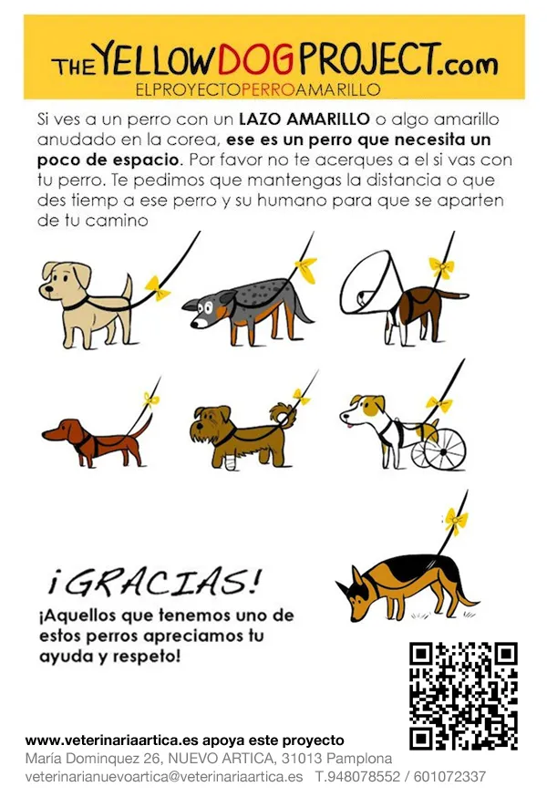 Proyecto Lazo Amarillo imagen