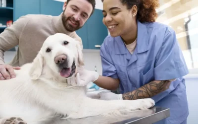 Cómo preparar a tu mascota para una visita al veterinario